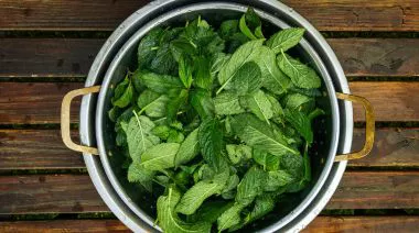 garnishing-instructions-image